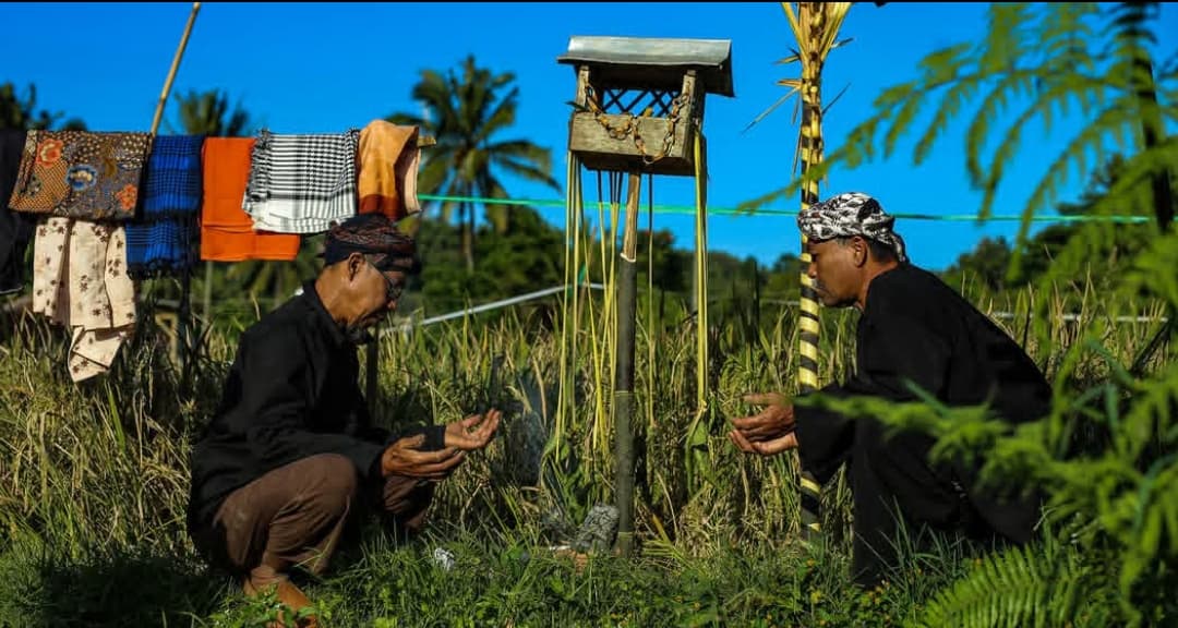Nyawen: Ritual Buhun Rancakalong Menyambut Panen Padi