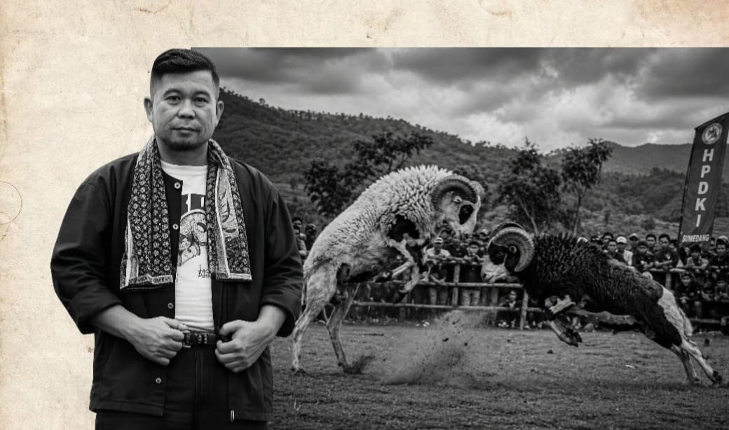 Seni Ketangkasan Domba: Warisan Budaya dan Peluang Ekonomi dari Rancakalong