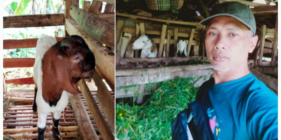 BUMDes Merpati Pamekaran: Menjawab Tantangan 2025 dengan Inovasi dan Kolaborasi